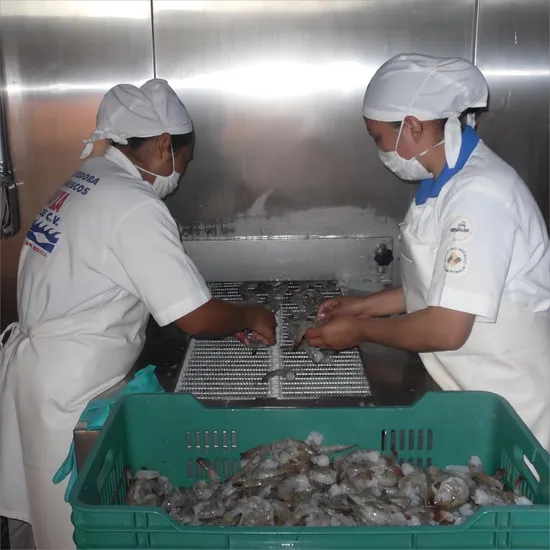 Advanced IQF Spiral Freezer Machine for Food Processing