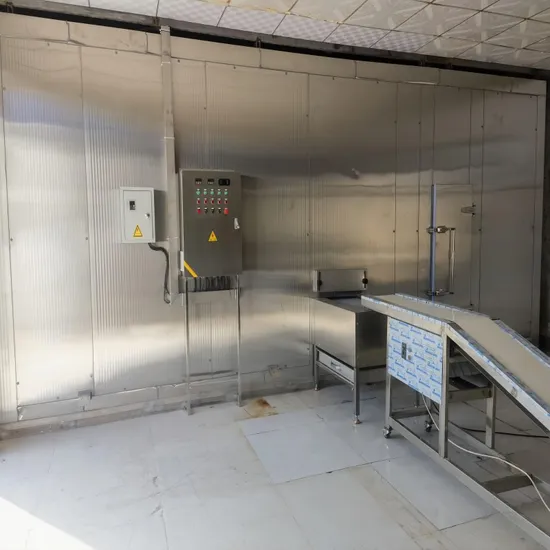 Industrial IQF Spiral Freezer for Rapid Food Preservation