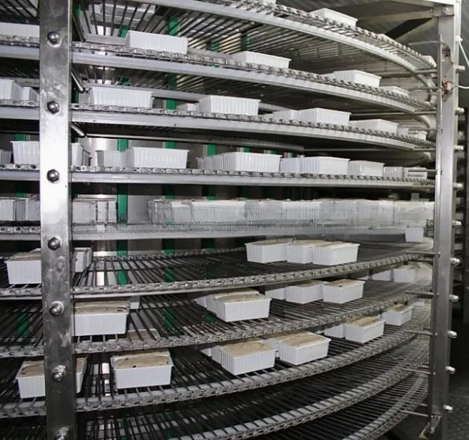 700kg IQF Spiral Freezer for Food Processing